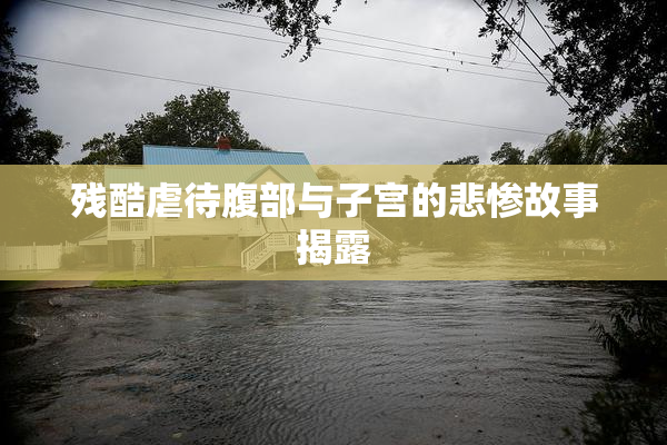残酷虐待腹部与子宫的悲惨故事揭露