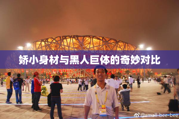 娇小身材与黑人巨体的奇妙对比