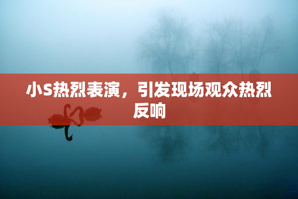 小S热烈表演，引发现场观众热烈反响