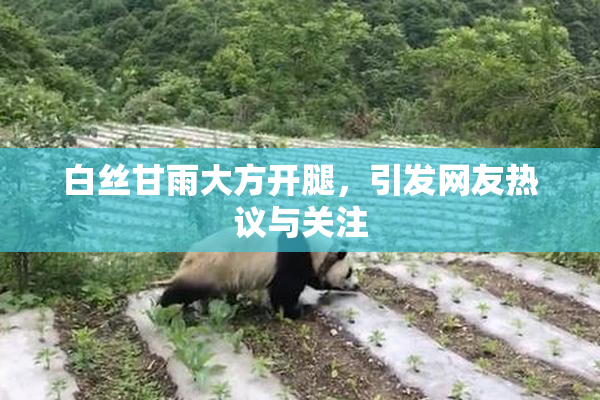 白丝甘雨大方开腿，引发网友热议与关注