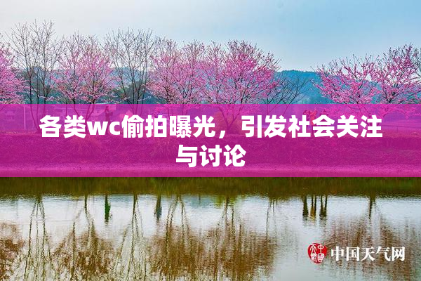 各类wc偷拍曝光，引发社会关注与讨论