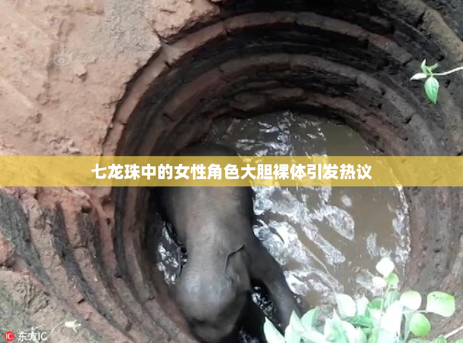 七龙珠中的女性角色大胆裸体引发热议