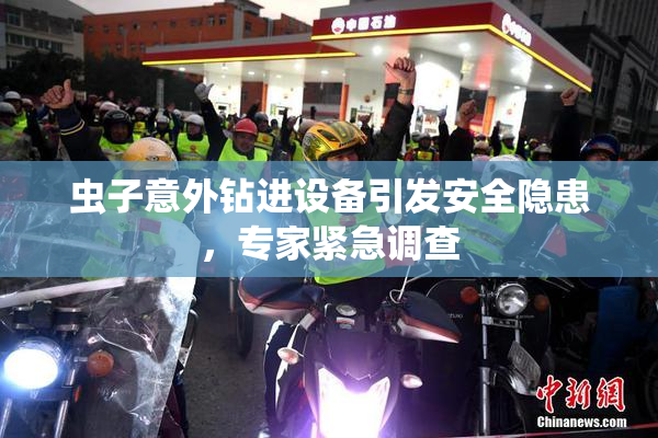 虫子意外钻进设备引发安全隐患，专家紧急调查