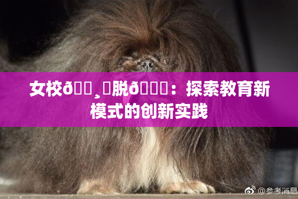 女校🌸‌脱👙：探索教育新模式的创新实践