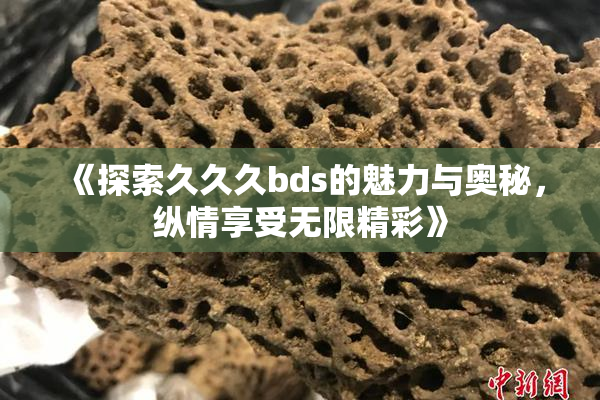 《探索久久久bds的魅力与奥秘，纵情享受无限精彩》