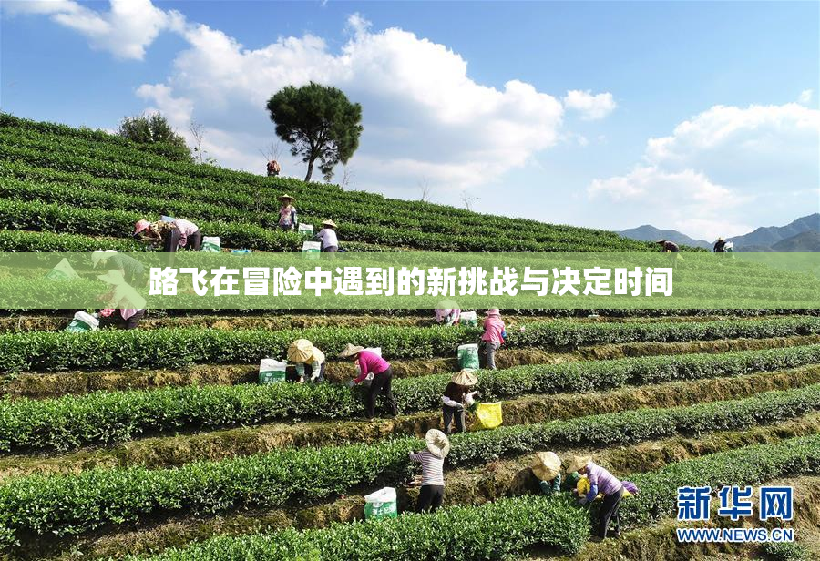 路飞在冒险中遇到的新挑战与决定时间