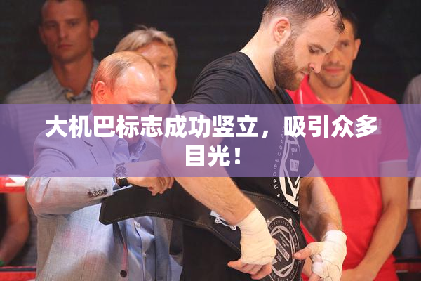 大机巴标志成功竖立，吸引众多目光！