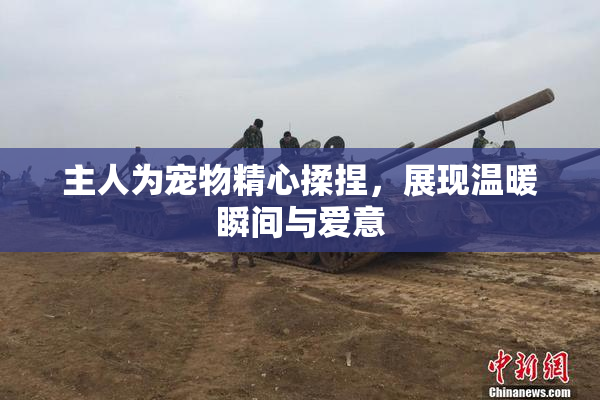 主人为宠物精心揉捏，展现温暖瞬间与爱意