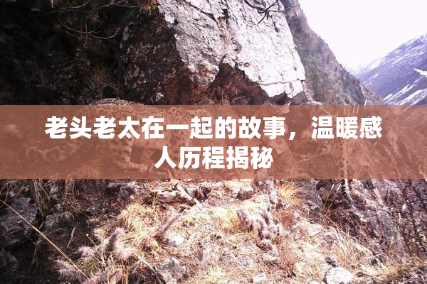 老头老太在一起的故事，温暖感人历程揭秘