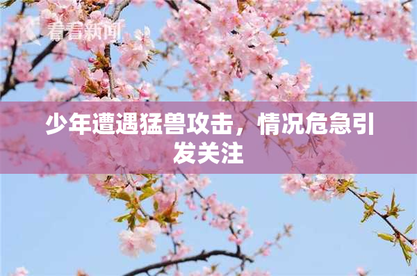 少年遭遇猛兽攻击，情况危急引发关注