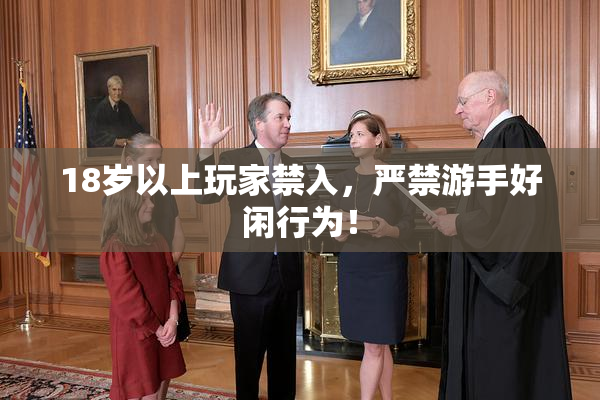 18岁以上玩家禁入，严禁游手好闲行为！
