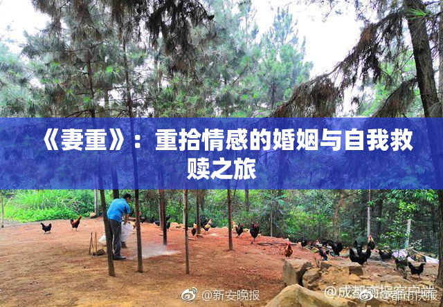 《妻重》：重拾情感的婚姻与自我救赎之旅