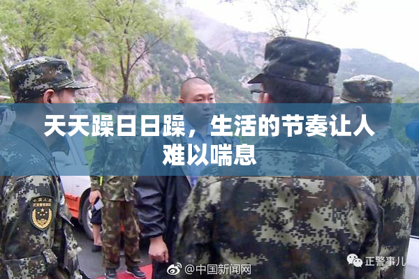 天天躁日日躁，生活的节奏让人难以喘息