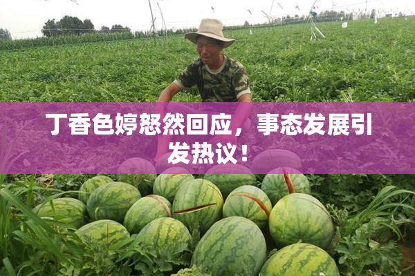 丁香色婷怒然回应，事态发展引发热议！