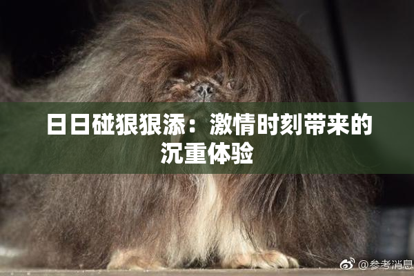 日日碰狠狠添：激情时刻带来的沉重体验