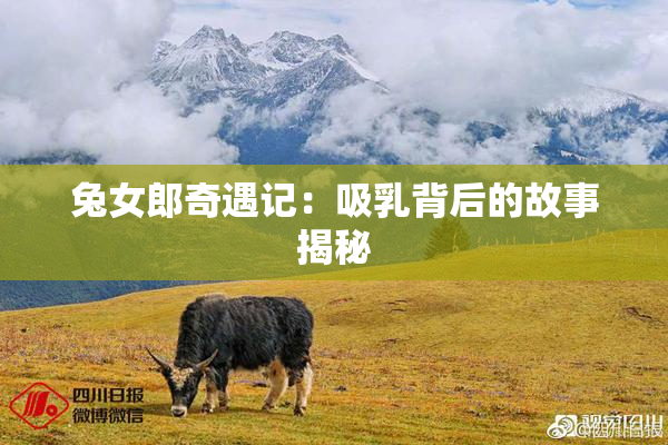 兔女郎奇遇记：吸乳背后的故事揭秘