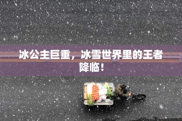 冰公主巨重，冰雪世界里的王者降临！