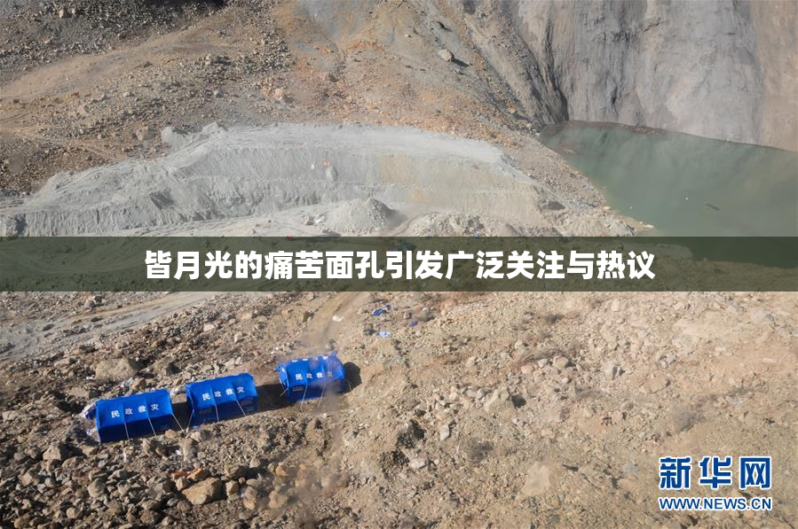 皆月光的痛苦面孔引发广泛关注与热议