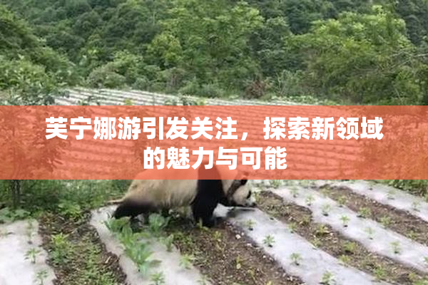 芙宁娜游引发关注，探索新领域的魅力与可能