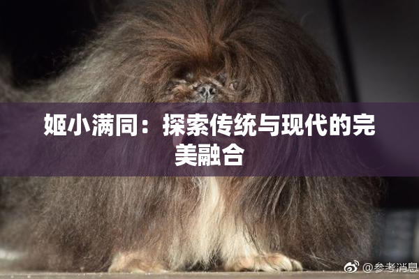 姬小满同：探索传统与现代的完美融合