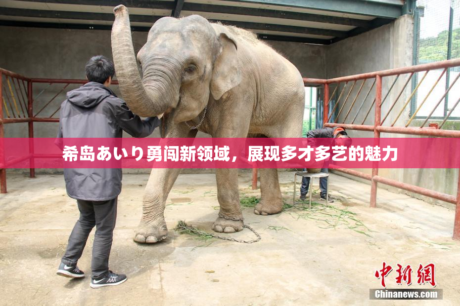 希岛あいり勇闯新领域，展现多才多艺的魅力