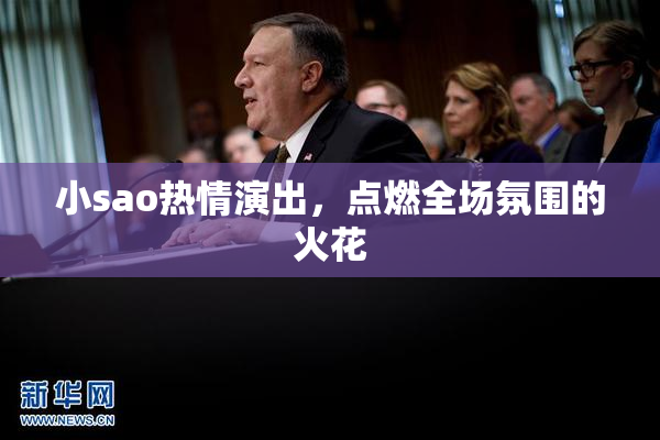 小sao热情演出，点燃全场氛围的火花