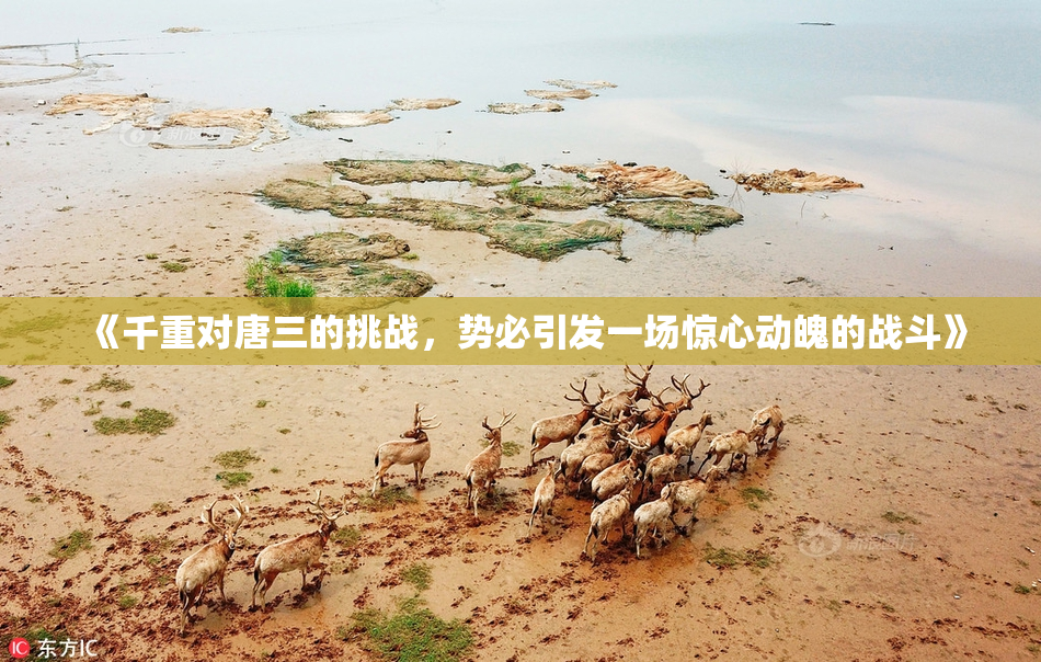 《千重对唐三的挑战，势必引发一场惊心动魄的战斗》