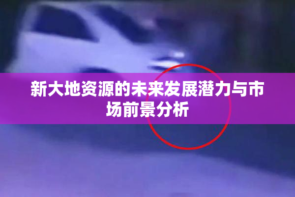 新大地资源的未来发展潜力与市场前景分析