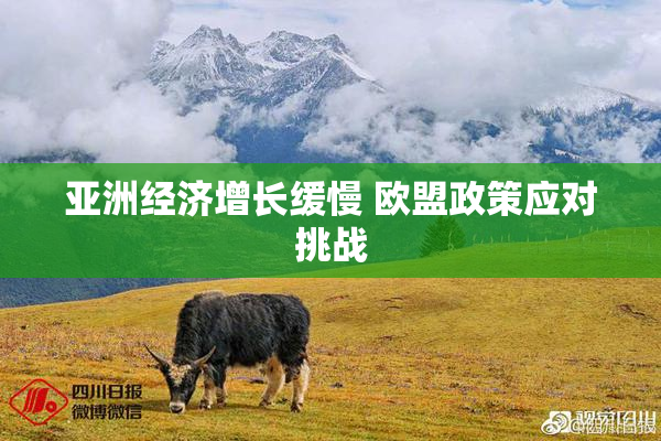 亚洲经济增长缓慢 欧盟政策应对挑战