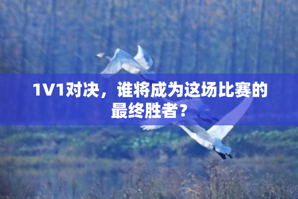 1V1对决，谁将成为这场比赛的最终胜者？