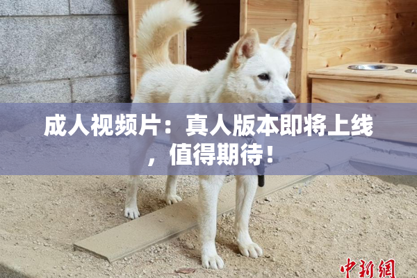 成人视频片：真人版本即将上线，值得期待！