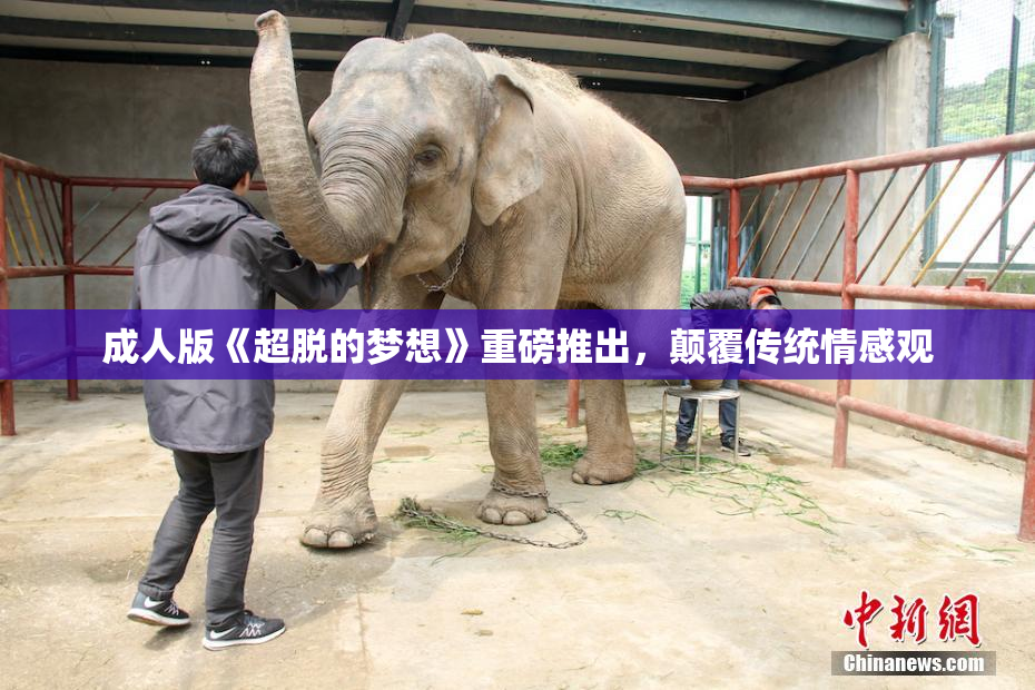 成人版《超脱的梦想》重磅推出，颠覆传统情感观