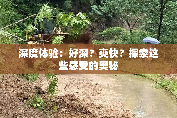深度体验：好深？爽快？探索这些感受的奥秘