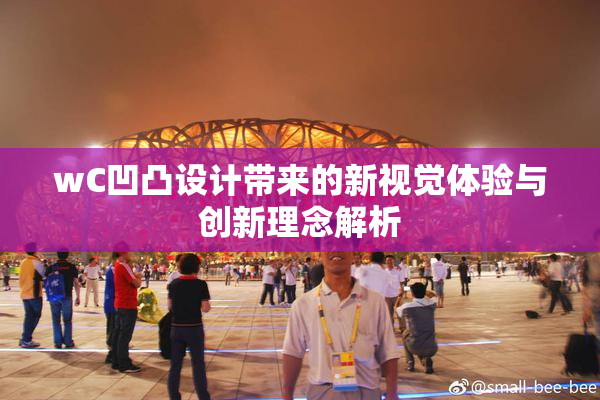 wC凹凸设计带来的新视觉体验与创新理念解析