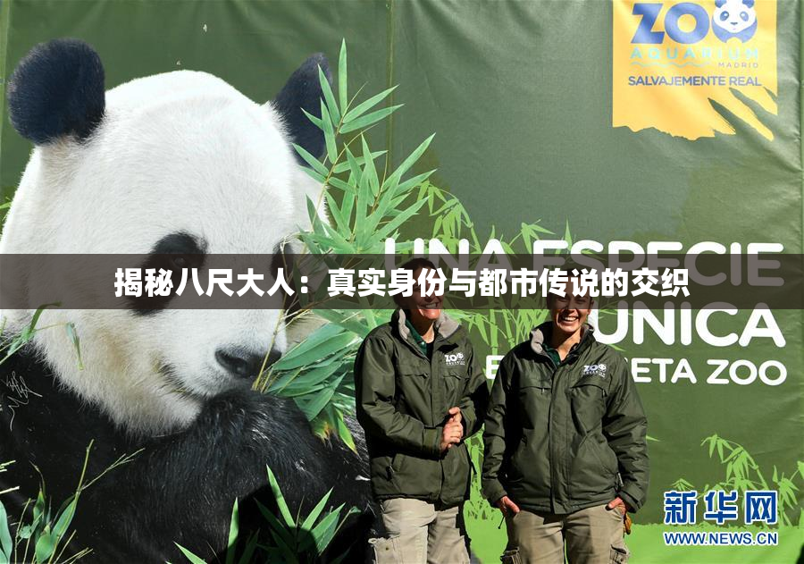 揭秘八尺大人：真实身份与都市传说的交织
