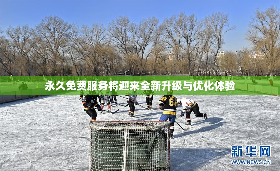 永久免费服务将迎来全新升级与优化体验