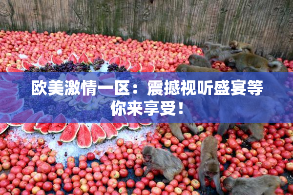 欧美激情一区：震撼视听盛宴等你来享受！