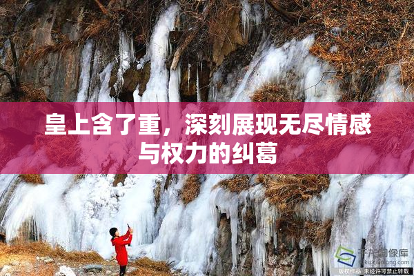皇上含了重，深刻展现无尽情感与权力的纠葛