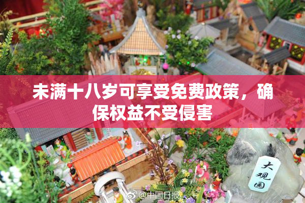 未满十八岁可享受免费政策，确保权益不受侵害