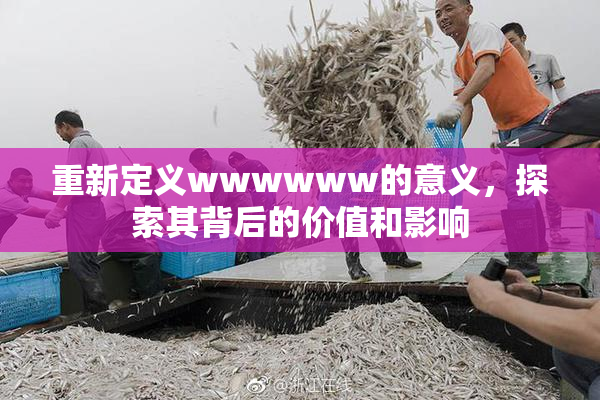 重新定义wwwwww的意义，探索其背后的价值和影响