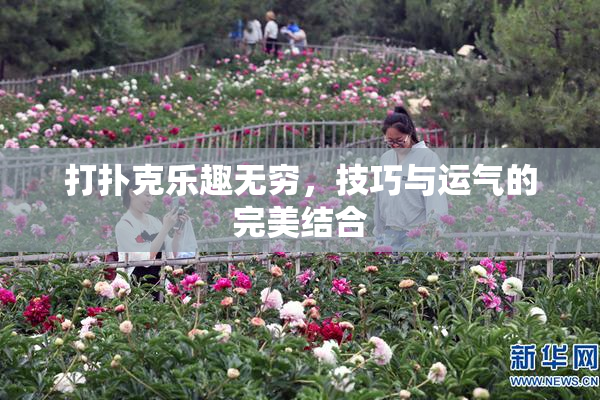 打扑克乐趣无穷，技巧与运气的完美结合