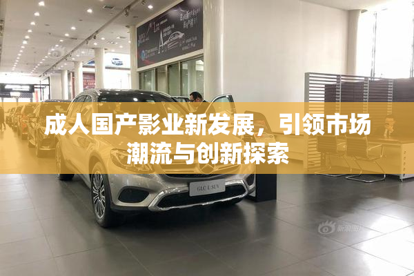 成人国产影业新发展，引领市场潮流与创新探索