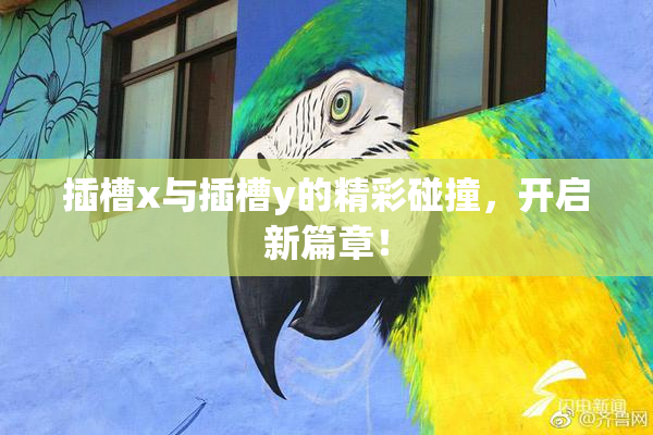 插槽x与插槽y的精彩碰撞，开启新篇章！