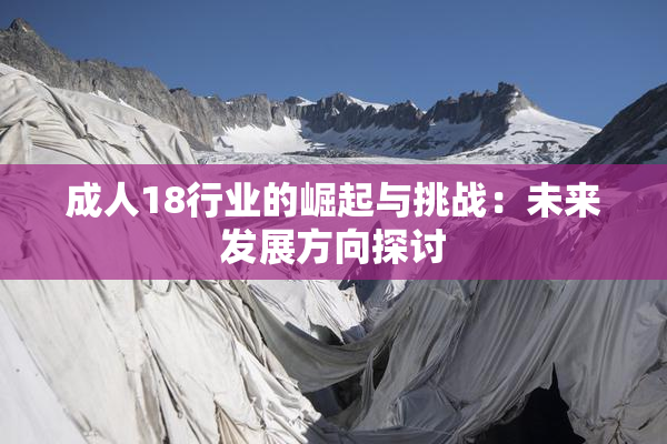 成人18行业的崛起与挑战：未来发展方向探讨