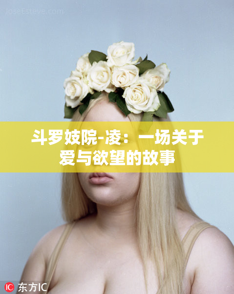 斗罗妓院-凌：一场关于爱与欲望的故事