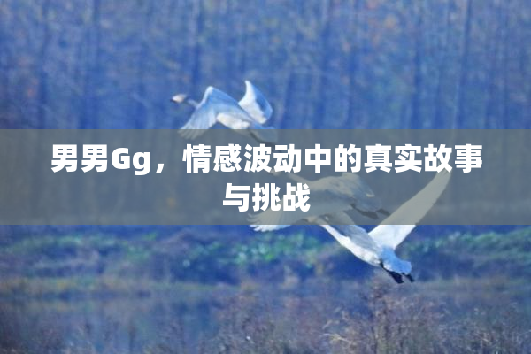 男男Gg，情感波动中的真实故事与挑战