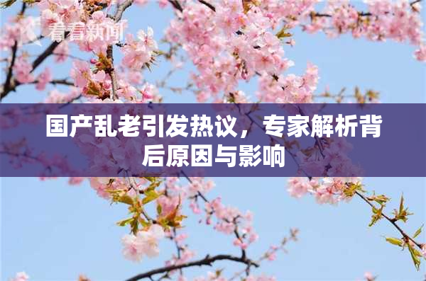 国产乱老引发热议，专家解析背后原因与影响