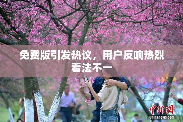 免费版引发热议，用户反响热烈看法不一