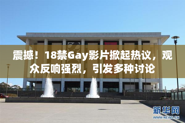 震撼！18禁Gay影片掀起热议，观众反响强烈，引发多种讨论