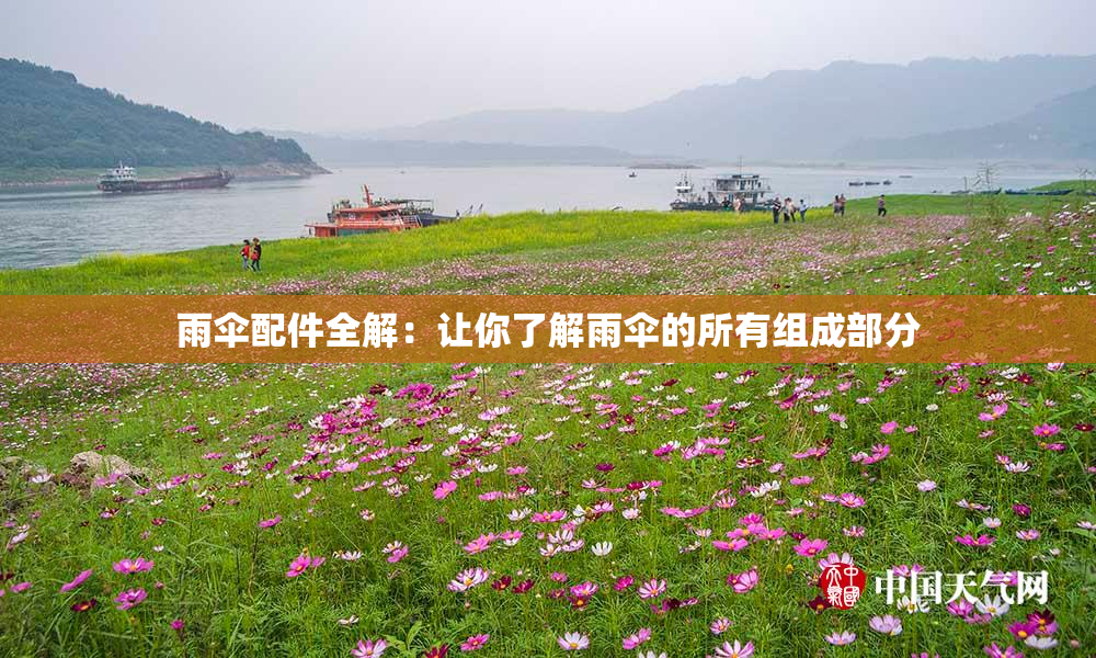 雨伞配件全解：让你了解雨伞的所有组成部分